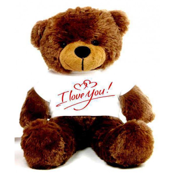 Brown 2 feet Big Teddy Bear wearing a I Love You T-shirt